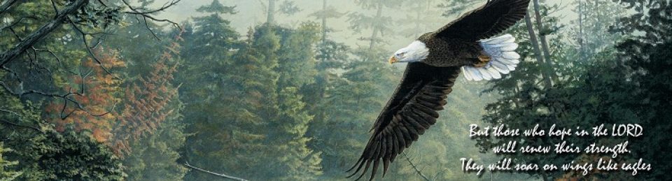 Soaring on Wings Like Eagles