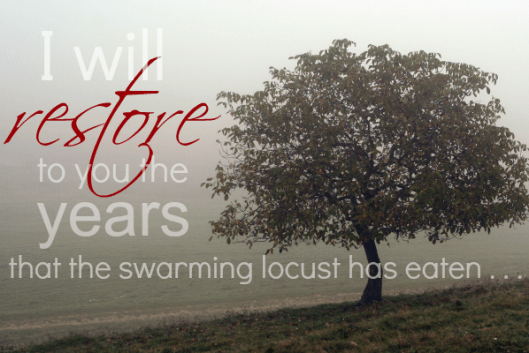 restore-2014-locust-e1457979376131